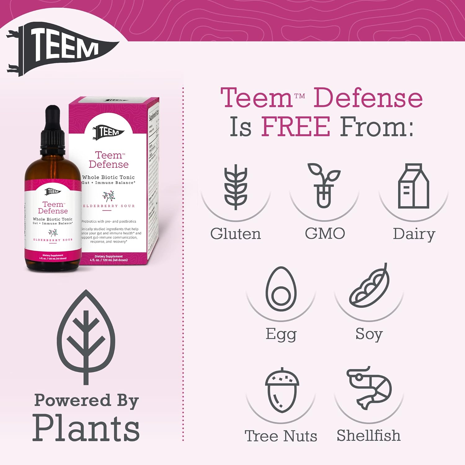 Teem Defense